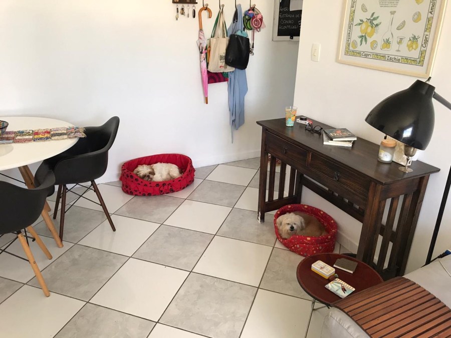 6d42fc84-3e55-4b83-b268-a5698693411d